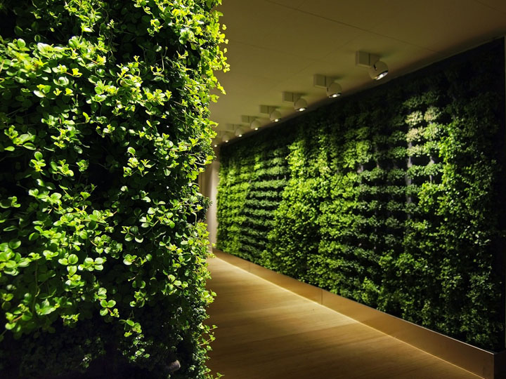 http://retaildesignblog.net/wp-content/uploads/2011/06/Plant-Wall-by-Greenworks.jpg