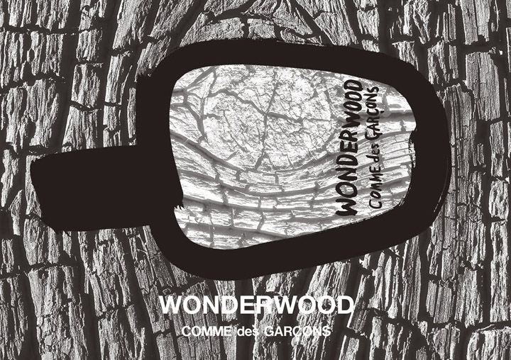 Wonderwood Perfume by Comme des Garcons