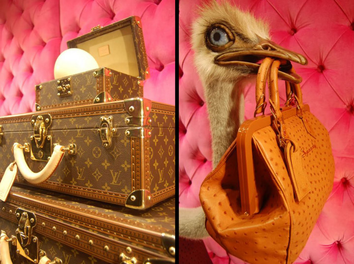Louis Vuitton Two-Story Ostrich – Fixtures Close Up