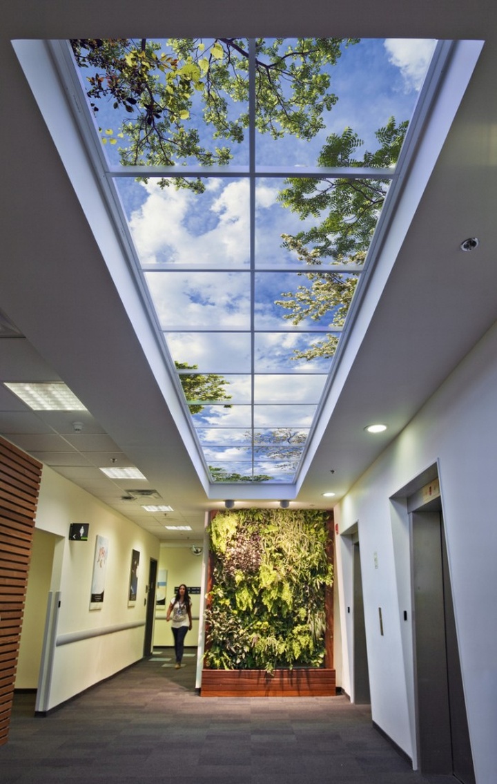 » Biophilic Design offices by Sky Factory