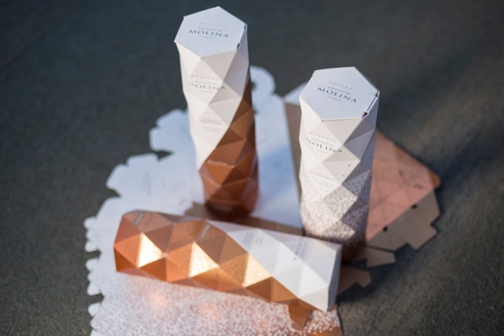 Williams-Sonoma artisanal pastas packaging by Pavement
