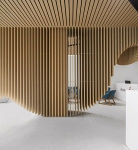 » Care Implant Dentistry by Pedra Silva Architects, Chatswood – Australia