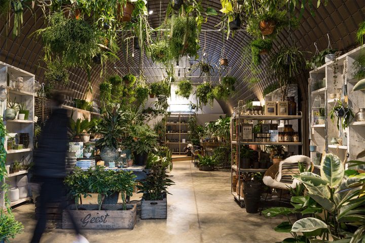 » Forest store by and then-studio, London – UK