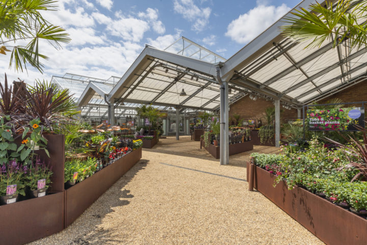 Wisley garden online centre